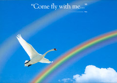 One of the many promotional materials of KLM, the main sponsor